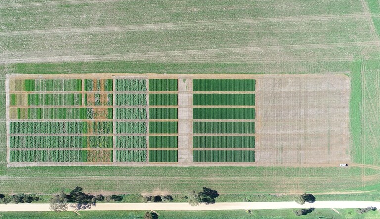 Field